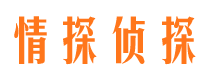 马村侦探公司